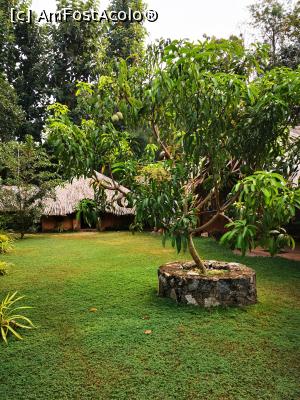 [P84] În curtea complexului » foto by cata2106
 - 
<span class="allrVoted glyphicon glyphicon-heart hidden" id="av1287850"></span>
<a class="m-l-10 hidden" id="sv1287850" onclick="voting_Foto_DelVot(,1287850,27399)" role="button">șterge vot <span class="glyphicon glyphicon-remove"></span></a>
<a id="v91287850" class=" c-red"  onclick="voting_Foto_SetVot(1287850)" role="button"><span class="glyphicon glyphicon-heart-empty"></span> <b>LIKE</b> = Votează poza</a> <img class="hidden"  id="f1287850W9" src="/imagini/loader.gif" border="0" /><span class="AjErrMes hidden" id="e1287850ErM"></span>