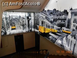 [P09] Hotel Inn Rossio, pe scări » foto by irinad
 - 
<span class="allrVoted glyphicon glyphicon-heart hidden" id="av1288190"></span>
<a class="m-l-10 hidden" id="sv1288190" onclick="voting_Foto_DelVot(,1288190,27403)" role="button">șterge vot <span class="glyphicon glyphicon-remove"></span></a>
<a id="v91288190" class=" c-red"  onclick="voting_Foto_SetVot(1288190)" role="button"><span class="glyphicon glyphicon-heart-empty"></span> <b>LIKE</b> = Votează poza</a> <img class="hidden"  id="f1288190W9" src="/imagini/loader.gif" border="0" /><span class="AjErrMes hidden" id="e1288190ErM"></span>