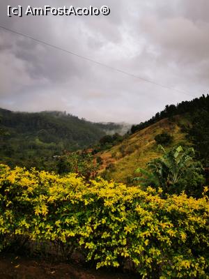 [P17] Vedere de pe balcon » foto by cata2106
 - 
<span class="allrVoted glyphicon glyphicon-heart hidden" id="av1289619"></span>
<a class="m-l-10 hidden" id="sv1289619" onclick="voting_Foto_DelVot(,1289619,27411)" role="button">șterge vot <span class="glyphicon glyphicon-remove"></span></a>
<a id="v91289619" class=" c-red"  onclick="voting_Foto_SetVot(1289619)" role="button"><span class="glyphicon glyphicon-heart-empty"></span> <b>LIKE</b> = Votează poza</a> <img class="hidden"  id="f1289619W9" src="/imagini/loader.gif" border="0" /><span class="AjErrMes hidden" id="e1289619ErM"></span>