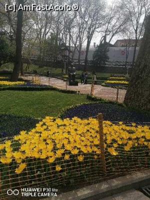 [P12] Parcul Gulhane » foto by M'Liviu
 - 
<span class="allrVoted glyphicon glyphicon-heart hidden" id="av1292579"></span>
<a class="m-l-10 hidden" id="sv1292579" onclick="voting_Foto_DelVot(,1292579,27427)" role="button">șterge vot <span class="glyphicon glyphicon-remove"></span></a>
<a id="v91292579" class=" c-red"  onclick="voting_Foto_SetVot(1292579)" role="button"><span class="glyphicon glyphicon-heart-empty"></span> <b>LIKE</b> = Votează poza</a> <img class="hidden"  id="f1292579W9" src="/imagini/loader.gif" border="0" /><span class="AjErrMes hidden" id="e1292579ErM"></span>
