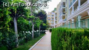 [P05] ApartComplex Splendid - aleea de-a lungul corpului de apartamente » foto by k-lator
 - 
<span class="allrVoted glyphicon glyphicon-heart hidden" id="av1382586"></span>
<a class="m-l-10 hidden" id="sv1382586" onclick="voting_Foto_DelVot(,1382586,27437)" role="button">șterge vot <span class="glyphicon glyphicon-remove"></span></a>
<a id="v91382586" class=" c-red"  onclick="voting_Foto_SetVot(1382586)" role="button"><span class="glyphicon glyphicon-heart-empty"></span> <b>LIKE</b> = Votează poza</a> <img class="hidden"  id="f1382586W9" src="/imagini/loader.gif" border="0" /><span class="AjErrMes hidden" id="e1382586ErM"></span>