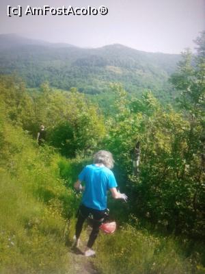 [P07] Via ferrata la Cetatea Dezna » foto by Mioritik
 - 
<span class="allrVoted glyphicon glyphicon-heart hidden" id="av1365872"></span>
<a class="m-l-10 hidden" id="sv1365872" onclick="voting_Foto_DelVot(,1365872,27443)" role="button">șterge vot <span class="glyphicon glyphicon-remove"></span></a>
<a id="v91365872" class=" c-red"  onclick="voting_Foto_SetVot(1365872)" role="button"><span class="glyphicon glyphicon-heart-empty"></span> <b>LIKE</b> = Votează poza</a> <img class="hidden"  id="f1365872W9" src="/imagini/loader.gif" border="0" /><span class="AjErrMes hidden" id="e1365872ErM"></span>