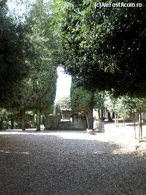 [P23] imagine din parcul orasului.  » foto by amero
 - 
<span class="allrVoted glyphicon glyphicon-heart hidden" id="av683124"></span>
<a class="m-l-10 hidden" id="sv683124" onclick="voting_Foto_DelVot(,683124,27453)" role="button">șterge vot <span class="glyphicon glyphicon-remove"></span></a>
<a id="v9683124" class=" c-red"  onclick="voting_Foto_SetVot(683124)" role="button"><span class="glyphicon glyphicon-heart-empty"></span> <b>LIKE</b> = Votează poza</a> <img class="hidden"  id="f683124W9" src="/imagini/loader.gif" border="0" /><span class="AjErrMes hidden" id="e683124ErM"></span>