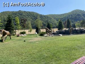 [P44] Parc Calimanesti » foto by crismcl313
 - 
<span class="allrVoted glyphicon glyphicon-heart hidden" id="av1303660"></span>
<a class="m-l-10 hidden" id="sv1303660" onclick="voting_Foto_DelVot(,1303660,27467)" role="button">șterge vot <span class="glyphicon glyphicon-remove"></span></a>
<a id="v91303660" class=" c-red"  onclick="voting_Foto_SetVot(1303660)" role="button"><span class="glyphicon glyphicon-heart-empty"></span> <b>LIKE</b> = Votează poza</a> <img class="hidden"  id="f1303660W9" src="/imagini/loader.gif" border="0" /><span class="AjErrMes hidden" id="e1303660ErM"></span>