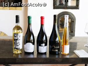 [P50] Degustare de vin Apogeum » foto by crismis
 - 
<span class="allrVoted glyphicon glyphicon-heart hidden" id="av1297667"></span>
<a class="m-l-10 hidden" id="sv1297667" onclick="voting_Foto_DelVot(,1297667,27472)" role="button">șterge vot <span class="glyphicon glyphicon-remove"></span></a>
<a id="v91297667" class=" c-red"  onclick="voting_Foto_SetVot(1297667)" role="button"><span class="glyphicon glyphicon-heart-empty"></span> <b>LIKE</b> = Votează poza</a> <img class="hidden"  id="f1297667W9" src="/imagini/loader.gif" border="0" /><span class="AjErrMes hidden" id="e1297667ErM"></span>