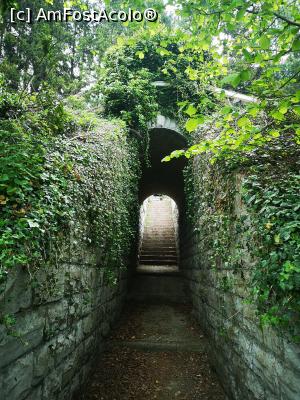 [P39] Unul din tunelurile pe sub calea ferată » foto by crismis
 - 
<span class="allrVoted glyphicon glyphicon-heart hidden" id="av1299439"></span>
<a class="m-l-10 hidden" id="sv1299439" onclick="voting_Foto_DelVot(,1299439,27485)" role="button">șterge vot <span class="glyphicon glyphicon-remove"></span></a>
<a id="v91299439" class=" c-red"  onclick="voting_Foto_SetVot(1299439)" role="button"><span class="glyphicon glyphicon-heart-empty"></span> <b>LIKE</b> = Votează poza</a> <img class="hidden"  id="f1299439W9" src="/imagini/loader.gif" border="0" /><span class="AjErrMes hidden" id="e1299439ErM"></span>