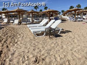 [P98] Xanadu Makadi Bay - pe plajă » foto by nicole33
 - 
<span class="allrVoted glyphicon glyphicon-heart hidden" id="av1350486"></span>
<a class="m-l-10 hidden" id="sv1350486" onclick="voting_Foto_DelVot(,1350486,27491)" role="button">șterge vot <span class="glyphicon glyphicon-remove"></span></a>
<a id="v91350486" class=" c-red"  onclick="voting_Foto_SetVot(1350486)" role="button"><span class="glyphicon glyphicon-heart-empty"></span> <b>LIKE</b> = Votează poza</a> <img class="hidden"  id="f1350486W9" src="/imagini/loader.gif" border="0" /><span class="AjErrMes hidden" id="e1350486ErM"></span>