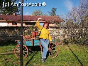 [P05] Curtea interioara » foto by istratescu
 - 
<span class="allrVoted glyphicon glyphicon-heart hidden" id="av1301989"></span>
<a class="m-l-10 hidden" id="sv1301989" onclick="voting_Foto_DelVot(,1301989,27502)" role="button">șterge vot <span class="glyphicon glyphicon-remove"></span></a>
<a id="v91301989" class=" c-red"  onclick="voting_Foto_SetVot(1301989)" role="button"><span class="glyphicon glyphicon-heart-empty"></span> <b>LIKE</b> = Votează poza</a> <img class="hidden"  id="f1301989W9" src="/imagini/loader.gif" border="0" /><span class="AjErrMes hidden" id="e1301989ErM"></span>