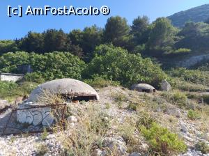 [P21] buncare langa plaja pazite de un catel slabanog » foto by raducondurache
 - 
<span class="allrVoted glyphicon glyphicon-heart hidden" id="av1307721"></span>
<a class="m-l-10 hidden" id="sv1307721" onclick="voting_Foto_DelVot(,1307721,27546)" role="button">șterge vot <span class="glyphicon glyphicon-remove"></span></a>
<a id="v91307721" class=" c-red"  onclick="voting_Foto_SetVot(1307721)" role="button"><span class="glyphicon glyphicon-heart-empty"></span> <b>LIKE</b> = Votează poza</a> <img class="hidden"  id="f1307721W9" src="/imagini/loader.gif" border="0" /><span class="AjErrMes hidden" id="e1307721ErM"></span>