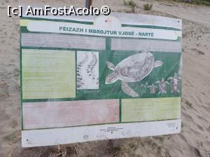 [P08] Zona protejata Laguna Narta, atentie la broscutele Caretta-Caretta ! » foto by raducondurache
 - 
<span class="allrVoted glyphicon glyphicon-heart hidden" id="av1310488"></span>
<a class="m-l-10 hidden" id="sv1310488" onclick="voting_Foto_DelVot(,1310488,27546)" role="button">șterge vot <span class="glyphicon glyphicon-remove"></span></a>
<a id="v91310488" class=" c-red"  onclick="voting_Foto_SetVot(1310488)" role="button"><span class="glyphicon glyphicon-heart-empty"></span> <b>LIKE</b> = Votează poza</a> <img class="hidden"  id="f1310488W9" src="/imagini/loader.gif" border="0" /><span class="AjErrMes hidden" id="e1310488ErM"></span>