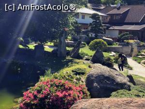 [P24] Museul Bonsai - o lume fascinanta » foto by mishu
 - 
<span class="allrVoted glyphicon glyphicon-heart hidden" id="av1312919"></span>
<a class="m-l-10 hidden" id="sv1312919" onclick="voting_Foto_DelVot(,1312919,27609)" role="button">șterge vot <span class="glyphicon glyphicon-remove"></span></a>
<a id="v91312919" class=" c-red"  onclick="voting_Foto_SetVot(1312919)" role="button"><span class="glyphicon glyphicon-heart-empty"></span> <b>LIKE</b> = Votează poza</a> <img class="hidden"  id="f1312919W9" src="/imagini/loader.gif" border="0" /><span class="AjErrMes hidden" id="e1312919ErM"></span>