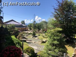 [P25] Museul Bonsai - o lume fascinanta » foto by mishu
 - 
<span class="allrVoted glyphicon glyphicon-heart hidden" id="av1312920"></span>
<a class="m-l-10 hidden" id="sv1312920" onclick="voting_Foto_DelVot(,1312920,27609)" role="button">șterge vot <span class="glyphicon glyphicon-remove"></span></a>
<a id="v91312920" class=" c-red"  onclick="voting_Foto_SetVot(1312920)" role="button"><span class="glyphicon glyphicon-heart-empty"></span> <b>LIKE</b> = Votează poza</a> <img class="hidden"  id="f1312920W9" src="/imagini/loader.gif" border="0" /><span class="AjErrMes hidden" id="e1312920ErM"></span>