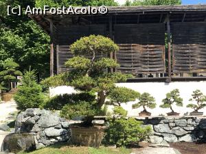 [P31] Museul Bonsai - o lume fascinanta » foto by mishu
 - 
<span class="allrVoted glyphicon glyphicon-heart hidden" id="av1312926"></span>
<a class="m-l-10 hidden" id="sv1312926" onclick="voting_Foto_DelVot(,1312926,27609)" role="button">șterge vot <span class="glyphicon glyphicon-remove"></span></a>
<a id="v91312926" class=" c-red"  onclick="voting_Foto_SetVot(1312926)" role="button"><span class="glyphicon glyphicon-heart-empty"></span> <b>LIKE</b> = Votează poza</a> <img class="hidden"  id="f1312926W9" src="/imagini/loader.gif" border="0" /><span class="AjErrMes hidden" id="e1312926ErM"></span>