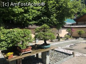 [P33] Museul Bonsai - o lume fascinanta » foto by mishu
 - 
<span class="allrVoted glyphicon glyphicon-heart hidden" id="av1312928"></span>
<a class="m-l-10 hidden" id="sv1312928" onclick="voting_Foto_DelVot(,1312928,27609)" role="button">șterge vot <span class="glyphicon glyphicon-remove"></span></a>
<a id="v91312928" class=" c-red"  onclick="voting_Foto_SetVot(1312928)" role="button"><span class="glyphicon glyphicon-heart-empty"></span> <b>LIKE</b> = Votează poza</a> <img class="hidden"  id="f1312928W9" src="/imagini/loader.gif" border="0" /><span class="AjErrMes hidden" id="e1312928ErM"></span>