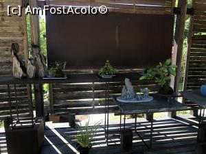 [P38] Museul Bonsai - o lume fascinanta » foto by mishu
 - 
<span class="allrVoted glyphicon glyphicon-heart hidden" id="av1312933"></span>
<a class="m-l-10 hidden" id="sv1312933" onclick="voting_Foto_DelVot(,1312933,27609)" role="button">șterge vot <span class="glyphicon glyphicon-remove"></span></a>
<a id="v91312933" class=" c-red"  onclick="voting_Foto_SetVot(1312933)" role="button"><span class="glyphicon glyphicon-heart-empty"></span> <b>LIKE</b> = Votează poza</a> <img class="hidden"  id="f1312933W9" src="/imagini/loader.gif" border="0" /><span class="AjErrMes hidden" id="e1312933ErM"></span>