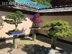 [P42] Museul Bonsai - o lume fascinanta » foto by mishu
 - 
<span class="allrVoted glyphicon glyphicon-heart hidden" id="av1312937"></span>
<a class="m-l-10 hidden" id="sv1312937" onclick="voting_Foto_DelVot(,1312937,27609)" role="button">șterge vot <span class="glyphicon glyphicon-remove"></span></a>
<a id="v91312937" class=" c-red"  onclick="voting_Foto_SetVot(1312937)" role="button"><span class="glyphicon glyphicon-heart-empty"></span> <b>LIKE</b> = Votează poza</a> <img class="hidden"  id="f1312937W9" src="/imagini/loader.gif" border="0" /><span class="AjErrMes hidden" id="e1312937ErM"></span>