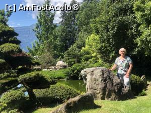 [P44] Museul Bonsai - o lume fascinanta si din nou eu :) » foto by mishu
 - 
<span class="allrVoted glyphicon glyphicon-heart hidden" id="av1312939"></span>
<a class="m-l-10 hidden" id="sv1312939" onclick="voting_Foto_DelVot(,1312939,27609)" role="button">șterge vot <span class="glyphicon glyphicon-remove"></span></a>
<a id="v91312939" class=" c-red"  onclick="voting_Foto_SetVot(1312939)" role="button"><span class="glyphicon glyphicon-heart-empty"></span> <b>LIKE</b> = Votează poza</a> <img class="hidden"  id="f1312939W9" src="/imagini/loader.gif" border="0" /><span class="AjErrMes hidden" id="e1312939ErM"></span>