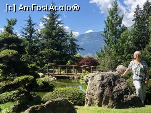[P48] Museul Bonsai - o lume fascinanta si din nou eu :) » foto by mishu
 - 
<span class="allrVoted glyphicon glyphicon-heart hidden" id="av1312943"></span>
<a class="m-l-10 hidden" id="sv1312943" onclick="voting_Foto_DelVot(,1312943,27609)" role="button">șterge vot <span class="glyphicon glyphicon-remove"></span></a>
<a id="v91312943" class=" c-red"  onclick="voting_Foto_SetVot(1312943)" role="button"><span class="glyphicon glyphicon-heart-empty"></span> <b>LIKE</b> = Votează poza</a> <img class="hidden"  id="f1312943W9" src="/imagini/loader.gif" border="0" /><span class="AjErrMes hidden" id="e1312943ErM"></span>