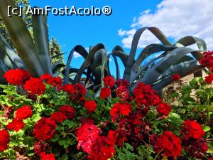 [P04] Parcul Colle Sant Onoffrio » foto by pepsi70ro
 - 
<span class="allrVoted glyphicon glyphicon-heart hidden" id="av1313312"></span>
<a class="m-l-10 hidden" id="sv1313312" onclick="voting_Foto_DelVot(,1313312,27612)" role="button">șterge vot <span class="glyphicon glyphicon-remove"></span></a>
<a id="v91313312" class=" c-red"  onclick="voting_Foto_SetVot(1313312)" role="button"><span class="glyphicon glyphicon-heart-empty"></span> <b>LIKE</b> = Votează poza</a> <img class="hidden"  id="f1313312W9" src="/imagini/loader.gif" border="0" /><span class="AjErrMes hidden" id="e1313312ErM"></span>