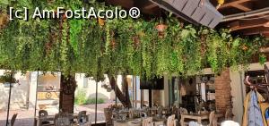 [P14] Jungla din tavanul restaurantului » foto by zapacitu
 - 
<span class="allrVoted glyphicon glyphicon-heart hidden" id="av1316771"></span>
<a class="m-l-10 hidden" id="sv1316771" onclick="voting_Foto_DelVot(,1316771,27633)" role="button">șterge vot <span class="glyphicon glyphicon-remove"></span></a>
<a id="v91316771" class=" c-red"  onclick="voting_Foto_SetVot(1316771)" role="button"><span class="glyphicon glyphicon-heart-empty"></span> <b>LIKE</b> = Votează poza</a> <img class="hidden"  id="f1316771W9" src="/imagini/loader.gif" border="0" /><span class="AjErrMes hidden" id="e1316771ErM"></span>