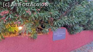 [P29] intrarea - zona auto » foto by Mayrose
 - 
<span class="allrVoted glyphicon glyphicon-heart hidden" id="av1318753"></span>
<a class="m-l-10 hidden" id="sv1318753" onclick="voting_Foto_DelVot(,1318753,27651)" role="button">șterge vot <span class="glyphicon glyphicon-remove"></span></a>
<a id="v91318753" class=" c-red"  onclick="voting_Foto_SetVot(1318753)" role="button"><span class="glyphicon glyphicon-heart-empty"></span> <b>LIKE</b> = Votează poza</a> <img class="hidden"  id="f1318753W9" src="/imagini/loader.gif" border="0" /><span class="AjErrMes hidden" id="e1318753ErM"></span>