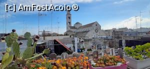 [P01] Bazilica San Nicola văzută de pe terasa B&B La Maison del Borgo Antico » foto by irinad
 - 
<span class="allrVoted glyphicon glyphicon-heart hidden" id="av1319448"></span>
<a class="m-l-10 hidden" id="sv1319448" onclick="voting_Foto_DelVot(,1319448,27661)" role="button">șterge vot <span class="glyphicon glyphicon-remove"></span></a>
<a id="v91319448" class=" c-red"  onclick="voting_Foto_SetVot(1319448)" role="button"><span class="glyphicon glyphicon-heart-empty"></span> <b>LIKE</b> = Votează poza</a> <img class="hidden"  id="f1319448W9" src="/imagini/loader.gif" border="0" /><span class="AjErrMes hidden" id="e1319448ErM"></span>