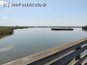 [P14] Lacul Vistonida » foto by ilee
 - 
<span class="allrVoted glyphicon glyphicon-heart hidden" id="av1320473"></span>
<a class="m-l-10 hidden" id="sv1320473" onclick="voting_Foto_DelVot(,1320473,27670)" role="button">șterge vot <span class="glyphicon glyphicon-remove"></span></a>
<a id="v91320473" class=" c-red"  onclick="voting_Foto_SetVot(1320473)" role="button"><span class="glyphicon glyphicon-heart-empty"></span> <b>LIKE</b> = Votează poza</a> <img class="hidden"  id="f1320473W9" src="/imagini/loader.gif" border="0" /><span class="AjErrMes hidden" id="e1320473ErM"></span>