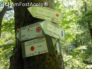 [P19] Peștera Vadu Crișului - În drum spre peșteră, indicatoare turistice. » foto by iulianic
 - 
<span class="allrVoted glyphicon glyphicon-heart hidden" id="av1323510"></span>
<a class="m-l-10 hidden" id="sv1323510" onclick="voting_Foto_DelVot(,1323510,27696)" role="button">șterge vot <span class="glyphicon glyphicon-remove"></span></a>
<a id="v91323510" class=" c-red"  onclick="voting_Foto_SetVot(1323510)" role="button"><span class="glyphicon glyphicon-heart-empty"></span> <b>LIKE</b> = Votează poza</a> <img class="hidden"  id="f1323510W9" src="/imagini/loader.gif" border="0" /><span class="AjErrMes hidden" id="e1323510ErM"></span>