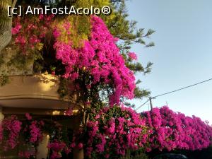 [P29] Hotel Pantheon - casa cu bougainvillea » foto by calator65
 - 
<span class="allrVoted glyphicon glyphicon-heart hidden" id="av1327807"></span>
<a class="m-l-10 hidden" id="sv1327807" onclick="voting_Foto_DelVot(,1327807,27727)" role="button">șterge vot <span class="glyphicon glyphicon-remove"></span></a>
<a id="v91327807" class=" c-red"  onclick="voting_Foto_SetVot(1327807)" role="button"><span class="glyphicon glyphicon-heart-empty"></span> <b>LIKE</b> = Votează poza</a> <img class="hidden"  id="f1327807W9" src="/imagini/loader.gif" border="0" /><span class="AjErrMes hidden" id="e1327807ErM"></span>