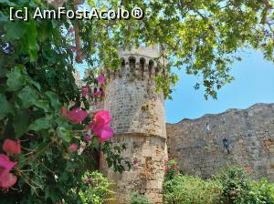 [P02] Rhodos Town, Palatul Marelui Maestru. » foto by maryka
 - 
<span class="allrVoted glyphicon glyphicon-heart hidden" id="av1328282"></span>
<a class="m-l-10 hidden" id="sv1328282" onclick="voting_Foto_DelVot(,1328282,27728)" role="button">șterge vot <span class="glyphicon glyphicon-remove"></span></a>
<a id="v91328282" class=" c-red"  onclick="voting_Foto_SetVot(1328282)" role="button"><span class="glyphicon glyphicon-heart-empty"></span> <b>LIKE</b> = Votează poza</a> <img class="hidden"  id="f1328282W9" src="/imagini/loader.gif" border="0" /><span class="AjErrMes hidden" id="e1328282ErM"></span>
