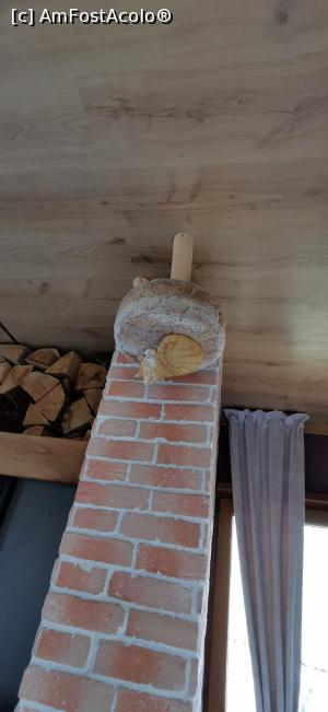 [P20] Niste pisici... ametite :)) » foto by ⭐ValentinB_88⭐
 - 
<span class="allrVoted glyphicon glyphicon-heart hidden" id="av1357144"></span>
<a class="m-l-10 hidden" id="sv1357144" onclick="voting_Foto_DelVot(,1357144,27760)" role="button">șterge vot <span class="glyphicon glyphicon-remove"></span></a>
<a id="v91357144" class=" c-red"  onclick="voting_Foto_SetVot(1357144)" role="button"><span class="glyphicon glyphicon-heart-empty"></span> <b>LIKE</b> = Votează poza</a> <img class="hidden"  id="f1357144W9" src="/imagini/loader.gif" border="0" /><span class="AjErrMes hidden" id="e1357144ErM"></span>