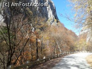 [P10] La plimbare pe Cheile Oltețului. » foto by Safta Radu
 - 
<span class="allrVoted glyphicon glyphicon-heart hidden" id="av1333747"></span>
<a class="m-l-10 hidden" id="sv1333747" onclick="voting_Foto_DelVot(,1333747,27771)" role="button">șterge vot <span class="glyphicon glyphicon-remove"></span></a>
<a id="v91333747" class=" c-red"  onclick="voting_Foto_SetVot(1333747)" role="button"><span class="glyphicon glyphicon-heart-empty"></span> <b>LIKE</b> = Votează poza</a> <img class="hidden"  id="f1333747W9" src="/imagini/loader.gif" border="0" /><span class="AjErrMes hidden" id="e1333747ErM"></span>