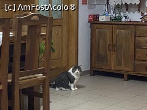 [P92] Pensiunea Melania Chiojdu - prietenul meu » foto by nicole33
 - 
<span class="allrVoted glyphicon glyphicon-heart hidden" id="av1511557"></span>
<a class="m-l-10 hidden" id="sv1511557" onclick="voting_Foto_DelVot(,1511557,27780)" role="button">șterge vot <span class="glyphicon glyphicon-remove"></span></a>
<a id="v91511557" class=" c-red"  onclick="voting_Foto_SetVot(1511557)" role="button"><span class="glyphicon glyphicon-heart-empty"></span> <b>LIKE</b> = Votează poza</a> <img class="hidden"  id="f1511557W9" src="/imagini/loader.gif" border="0" /><span class="AjErrMes hidden" id="e1511557ErM"></span>