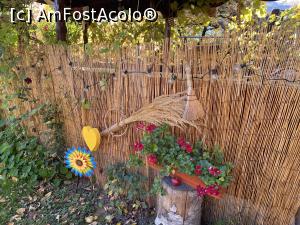 [P22] Pensiunea Melania - prin curte » foto by mishu
 - 
<span class="allrVoted glyphicon glyphicon-heart hidden" id="av1334893"></span>
<a class="m-l-10 hidden" id="sv1334893" onclick="voting_Foto_DelVot(,1334893,27780)" role="button">șterge vot <span class="glyphicon glyphicon-remove"></span></a>
<a id="v91334893" class=" c-red"  onclick="voting_Foto_SetVot(1334893)" role="button"><span class="glyphicon glyphicon-heart-empty"></span> <b>LIKE</b> = Votează poza</a> <img class="hidden"  id="f1334893W9" src="/imagini/loader.gif" border="0" /><span class="AjErrMes hidden" id="e1334893ErM"></span>