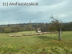 [P03] Ne aflam pe plaiuri mioritice » foto by mishu
 - 
<span class="allrVoted glyphicon glyphicon-heart hidden" id="av1339167"></span>
<a class="m-l-10 hidden" id="sv1339167" onclick="voting_Foto_DelVot(,1339167,27800)" role="button">șterge vot <span class="glyphicon glyphicon-remove"></span></a>
<a id="v91339167" class=" c-red"  onclick="voting_Foto_SetVot(1339167)" role="button"><span class="glyphicon glyphicon-heart-empty"></span> <b>LIKE</b> = Votează poza</a> <img class="hidden"  id="f1339167W9" src="/imagini/loader.gif" border="0" /><span class="AjErrMes hidden" id="e1339167ErM"></span>