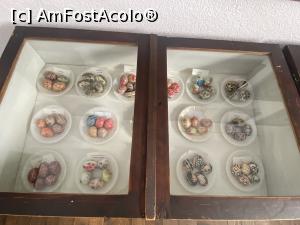 [P64] Muzeul icoanelor pe sticla - si alte exponate, nu numai icoane pe sticla » foto by mishu
 - 
<span class="allrVoted glyphicon glyphicon-heart hidden" id="av1339228"></span>
<a class="m-l-10 hidden" id="sv1339228" onclick="voting_Foto_DelVot(,1339228,27800)" role="button">șterge vot <span class="glyphicon glyphicon-remove"></span></a>
<a id="v91339228" class=" c-red"  onclick="voting_Foto_SetVot(1339228)" role="button"><span class="glyphicon glyphicon-heart-empty"></span> <b>LIKE</b> = Votează poza</a> <img class="hidden"  id="f1339228W9" src="/imagini/loader.gif" border="0" /><span class="AjErrMes hidden" id="e1339228ErM"></span>