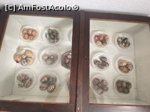 [P65] Muzeul icoanelor pe sticla - si alte exponate, nu numai icoane pe sticla » foto by mishu
 - 
<span class="allrVoted glyphicon glyphicon-heart hidden" id="av1339229"></span>
<a class="m-l-10 hidden" id="sv1339229" onclick="voting_Foto_DelVot(,1339229,27800)" role="button">șterge vot <span class="glyphicon glyphicon-remove"></span></a>
<a id="v91339229" class=" c-red"  onclick="voting_Foto_SetVot(1339229)" role="button"><span class="glyphicon glyphicon-heart-empty"></span> <b>LIKE</b> = Votează poza</a> <img class="hidden"  id="f1339229W9" src="/imagini/loader.gif" border="0" /><span class="AjErrMes hidden" id="e1339229ErM"></span>