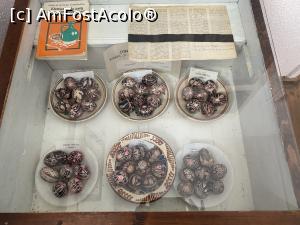 [P68] Muzeul icoanelor pe sticla - si alte exponate, nu numai icoane pe sticla » foto by mishu
 - 
<span class="allrVoted glyphicon glyphicon-heart hidden" id="av1339232"></span>
<a class="m-l-10 hidden" id="sv1339232" onclick="voting_Foto_DelVot(,1339232,27800)" role="button">șterge vot <span class="glyphicon glyphicon-remove"></span></a>
<a id="v91339232" class=" c-red"  onclick="voting_Foto_SetVot(1339232)" role="button"><span class="glyphicon glyphicon-heart-empty"></span> <b>LIKE</b> = Votează poza</a> <img class="hidden"  id="f1339232W9" src="/imagini/loader.gif" border="0" /><span class="AjErrMes hidden" id="e1339232ErM"></span>