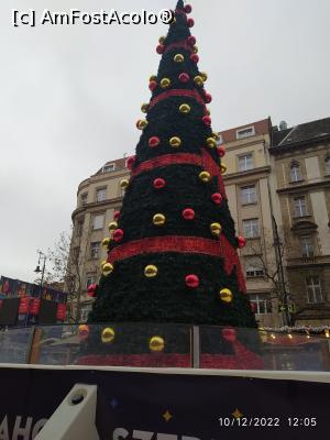 [P12] Bradul de Crăciun, înfipt în mijlocul unui patinoar micut » foto by mihai007
 - 
<span class="allrVoted glyphicon glyphicon-heart hidden" id="av1341463"></span>
<a class="m-l-10 hidden" id="sv1341463" onclick="voting_Foto_DelVot(,1341463,27814)" role="button">șterge vot <span class="glyphicon glyphicon-remove"></span></a>
<a id="v91341463" class=" c-red"  onclick="voting_Foto_SetVot(1341463)" role="button"><span class="glyphicon glyphicon-heart-empty"></span> <b>LIKE</b> = Votează poza</a> <img class="hidden"  id="f1341463W9" src="/imagini/loader.gif" border="0" /><span class="AjErrMes hidden" id="e1341463ErM"></span>