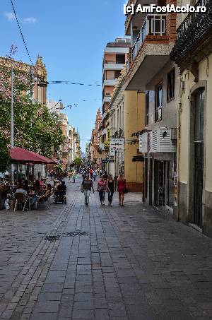 [P16] strada comerciala Calle del Castillo » foto by Muffin2009*
 - 
<span class="allrVoted glyphicon glyphicon-heart hidden" id="av486581"></span>
<a class="m-l-10 hidden" id="sv486581" onclick="voting_Foto_DelVot(,486581,27840)" role="button">șterge vot <span class="glyphicon glyphicon-remove"></span></a>
<a id="v9486581" class=" c-red"  onclick="voting_Foto_SetVot(486581)" role="button"><span class="glyphicon glyphicon-heart-empty"></span> <b>LIKE</b> = Votează poza</a> <img class="hidden"  id="f486581W9" src="/imagini/loader.gif" border="0" /><span class="AjErrMes hidden" id="e486581ErM"></span>