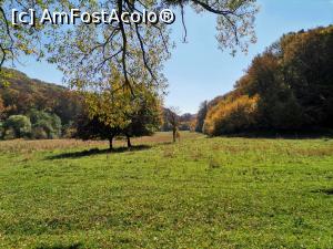 [P31] Şi pe aici trece Via Transilvanica » foto by Marius 72
 - 
<span class="allrVoted glyphicon glyphicon-heart hidden" id="av1345585"></span>
<a class="m-l-10 hidden" id="sv1345585" onclick="voting_Foto_DelVot(,1345585,27849)" role="button">șterge vot <span class="glyphicon glyphicon-remove"></span></a>
<a id="v91345585" class=" c-red"  onclick="voting_Foto_SetVot(1345585)" role="button"><span class="glyphicon glyphicon-heart-empty"></span> <b>LIKE</b> = Votează poza</a> <img class="hidden"  id="f1345585W9" src="/imagini/loader.gif" border="0" /><span class="AjErrMes hidden" id="e1345585ErM"></span>