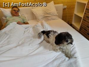 [P19] Și lui Cuky i-a plăcut pătuțul moale și relaxant! » foto by crismis
 - 
<span class="allrVoted glyphicon glyphicon-heart hidden" id="av1345961"></span>
<a class="m-l-10 hidden" id="sv1345961" onclick="voting_Foto_DelVot(,1345961,27853)" role="button">șterge vot <span class="glyphicon glyphicon-remove"></span></a>
<a id="v91345961" class=" c-red"  onclick="voting_Foto_SetVot(1345961)" role="button"><span class="glyphicon glyphicon-heart-empty"></span> <b>LIKE</b> = Votează poza</a> <img class="hidden"  id="f1345961W9" src="/imagini/loader.gif" border="0" /><span class="AjErrMes hidden" id="e1345961ErM"></span>
