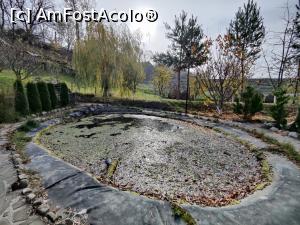 [P32] Explorând gradina pensiunii (iazul) » foto by crismis
 - 
<span class="allrVoted glyphicon glyphicon-heart hidden" id="av1345974"></span>
<a class="m-l-10 hidden" id="sv1345974" onclick="voting_Foto_DelVot(,1345974,27853)" role="button">șterge vot <span class="glyphicon glyphicon-remove"></span></a>
<a id="v91345974" class=" c-red"  onclick="voting_Foto_SetVot(1345974)" role="button"><span class="glyphicon glyphicon-heart-empty"></span> <b>LIKE</b> = Votează poza</a> <img class="hidden"  id="f1345974W9" src="/imagini/loader.gif" border="0" /><span class="AjErrMes hidden" id="e1345974ErM"></span>