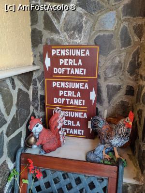 [P39] Decoruri și indicatoare » foto by crismis
 - 
<span class="allrVoted glyphicon glyphicon-heart hidden" id="av1345981"></span>
<a class="m-l-10 hidden" id="sv1345981" onclick="voting_Foto_DelVot(,1345981,27853)" role="button">șterge vot <span class="glyphicon glyphicon-remove"></span></a>
<a id="v91345981" class=" c-red"  onclick="voting_Foto_SetVot(1345981)" role="button"><span class="glyphicon glyphicon-heart-empty"></span> <b>LIKE</b> = Votează poza</a> <img class="hidden"  id="f1345981W9" src="/imagini/loader.gif" border="0" /><span class="AjErrMes hidden" id="e1345981ErM"></span>