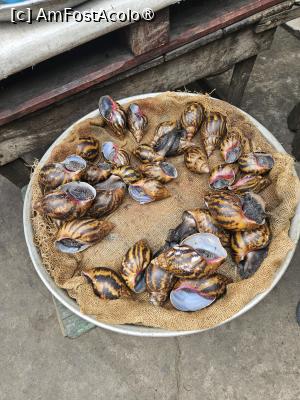 [P17] Makola market » foto by robert
 - 
<span class="allrVoted glyphicon glyphicon-heart hidden" id="av1417621"></span>
<a class="m-l-10 hidden" id="sv1417621" onclick="voting_Foto_DelVot(,1417621,27874)" role="button">șterge vot <span class="glyphicon glyphicon-remove"></span></a>
<a id="v91417621" class=" c-red"  onclick="voting_Foto_SetVot(1417621)" role="button"><span class="glyphicon glyphicon-heart-empty"></span> <b>LIKE</b> = Votează poza</a> <img class="hidden"  id="f1417621W9" src="/imagini/loader.gif" border="0" /><span class="AjErrMes hidden" id="e1417621ErM"></span>