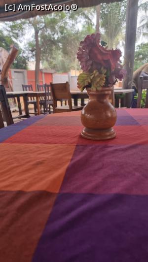 [P20] dimineata la MD » foto by robert
 - 
<span class="allrVoted glyphicon glyphicon-heart hidden" id="av1349072"></span>
<a class="m-l-10 hidden" id="sv1349072" onclick="voting_Foto_DelVot(,1349072,27883)" role="button">șterge vot <span class="glyphicon glyphicon-remove"></span></a>
<a id="v91349072" class=" c-red"  onclick="voting_Foto_SetVot(1349072)" role="button"><span class="glyphicon glyphicon-heart-empty"></span> <b>LIKE</b> = Votează poza</a> <img class="hidden"  id="f1349072W9" src="/imagini/loader.gif" border="0" /><span class="AjErrMes hidden" id="e1349072ErM"></span>