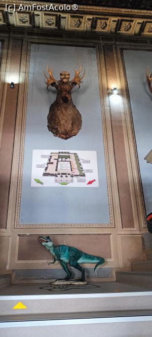 [P03] Cap de elan (adus din Norvegia, donat în 1939). » foto by tata123 🔱
 - 
<span class="allrVoted glyphicon glyphicon-heart hidden" id="av1517796"></span>
<a class="m-l-10 hidden" id="sv1517796" onclick="voting_Foto_DelVot(,1517796,27913)" role="button">șterge vot <span class="glyphicon glyphicon-remove"></span></a>
<a id="v91517796" class=" c-red"  onclick="voting_Foto_SetVot(1517796)" role="button"><span class="glyphicon glyphicon-heart-empty"></span> <b>LIKE</b> = Votează poza</a> <img class="hidden"  id="f1517796W9" src="/imagini/loader.gif" border="0" /><span class="AjErrMes hidden" id="e1517796ErM"></span>