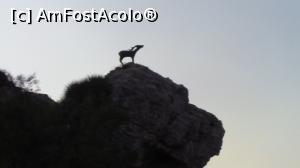 [P40] Statuie ce reprezinta o ciuta pe o stanca ce strajuieste portul din Kokkari. » foto by ovidiuyepi
 - 
<span class="allrVoted glyphicon glyphicon-heart hidden" id="av1219296"></span>
<a class="m-l-10 hidden" id="sv1219296" onclick="voting_Foto_DelVot(,1219296,27937)" role="button">șterge vot <span class="glyphicon glyphicon-remove"></span></a>
<a id="v91219296" class=" c-red"  onclick="voting_Foto_SetVot(1219296)" role="button"><span class="glyphicon glyphicon-heart-empty"></span> <b>LIKE</b> = Votează poza</a> <img class="hidden"  id="f1219296W9" src="/imagini/loader.gif" border="0" /><span class="AjErrMes hidden" id="e1219296ErM"></span>