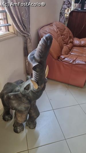 [P18] decorațiuni africane » foto by robert
 - 
<span class="allrVoted glyphicon glyphicon-heart hidden" id="av1358577"></span>
<a class="m-l-10 hidden" id="sv1358577" onclick="voting_Foto_DelVot(,1358577,27978)" role="button">șterge vot <span class="glyphicon glyphicon-remove"></span></a>
<a id="v91358577" class=" c-red"  onclick="voting_Foto_SetVot(1358577)" role="button"><span class="glyphicon glyphicon-heart-empty"></span> <b>LIKE</b> = Votează poza</a> <img class="hidden"  id="f1358577W9" src="/imagini/loader.gif" border="0" /><span class="AjErrMes hidden" id="e1358577ErM"></span>