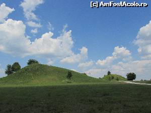[P15]  -- <small>// FĂRĂ DESCRIERE</small> » foto by Testosu'
 - 
<span class="allrVoted glyphicon glyphicon-heart hidden" id="av636206"></span>
<a class="m-l-10 hidden" id="sv636206" onclick="voting_Foto_DelVot(,636206,27980)" role="button">șterge vot <span class="glyphicon glyphicon-remove"></span></a>
<a id="v9636206" class=" c-red"  onclick="voting_Foto_SetVot(636206)" role="button"><span class="glyphicon glyphicon-heart-empty"></span> <b>LIKE</b> = Votează poza</a> <img class="hidden"  id="f636206W9" src="/imagini/loader.gif" border="0" /><span class="AjErrMes hidden" id="e636206ErM"></span>